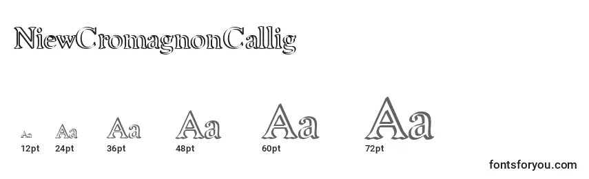 NiewCromagnonCallig Font Sizes