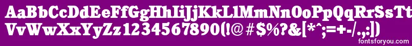 CalgaryserialHeavyRegular Font – White Fonts on Purple Background