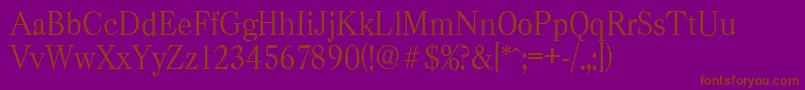 CasadserialLightRegular Font – Brown Fonts on Purple Background
