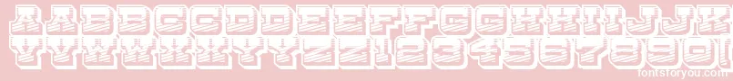 DryGoodsRusticJl-Schriftart – Weiße Schriften auf rosa Hintergrund