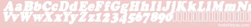 FatsoItalicCs Font – White Fonts on Pink Background