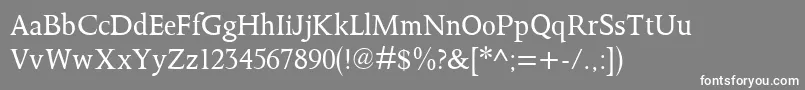 Octavianmt Font – White Fonts on Gray Background