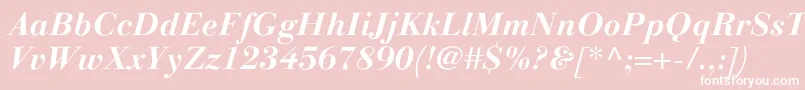 LinotypegianottenBolditalic Font – White Fonts on Pink Background