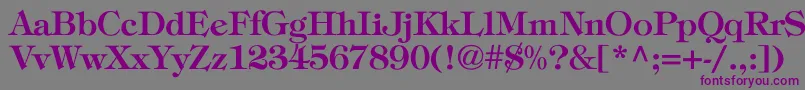 ToriBold Font – Purple Fonts on Gray Background