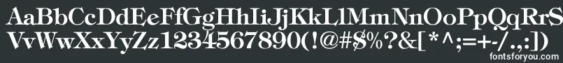 フォントToriBold – 黒い背景に白い文字