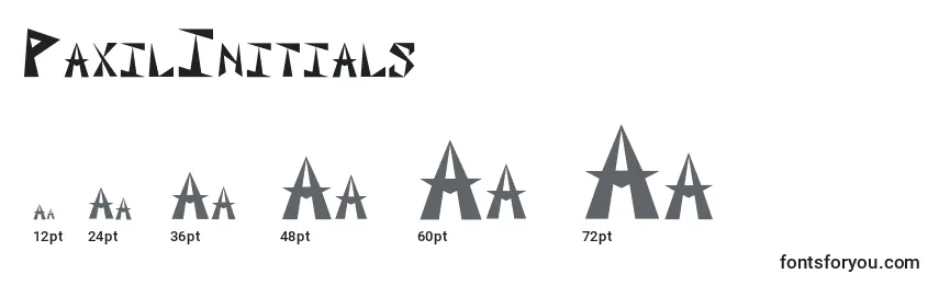Размеры шрифта PaxilInitials