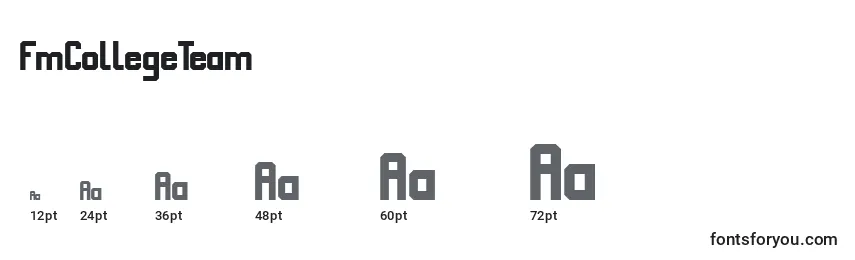 FmCollegeTeam Font Sizes
