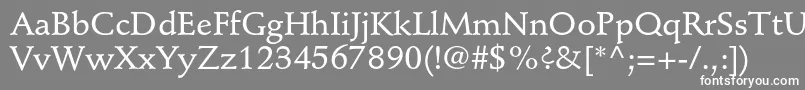 StempelschneidlerstdMedium Font – White Fonts on Gray Background