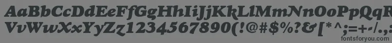 GoudystdHeavyfaceitalic Font – Black Fonts on Gray Background