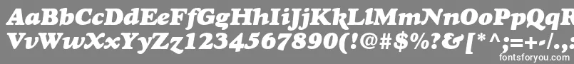 フォントGoudystdHeavyfaceitalic – 灰色の背景に白い文字