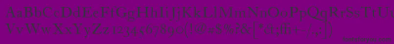 ItcFoundersCaslon12Roman Font – Black Fonts on Purple Background