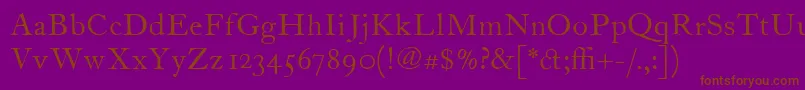 ItcFoundersCaslon12Roman Font – Brown Fonts on Purple Background