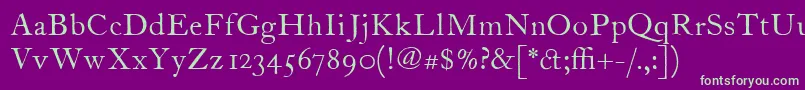 ItcFoundersCaslon12Roman Font – Green Fonts on Purple Background