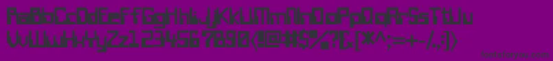 WiretransfersskBold Font – Black Fonts on Purple Background