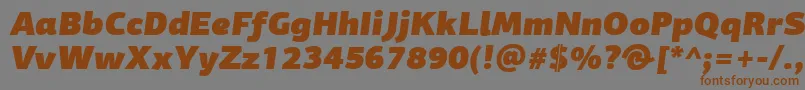 PfagorasansproUltrablackitalic-fontti – ruskeat fontit harmaalla taustalla