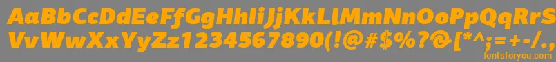 フォントPfagorasansproUltrablackitalic – オレンジの文字は灰色の背景にあります。