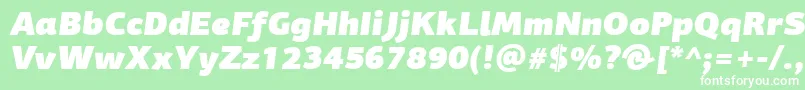 PfagorasansproUltrablackitalic Font – White Fonts on Green Background