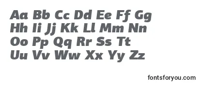 PfagorasansproUltrablackitalic-fontti