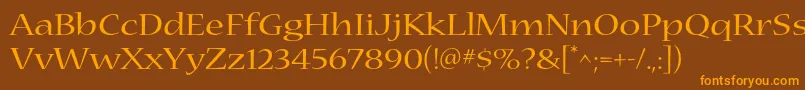 NuevastdExtended Font – Orange Fonts on Brown Background
