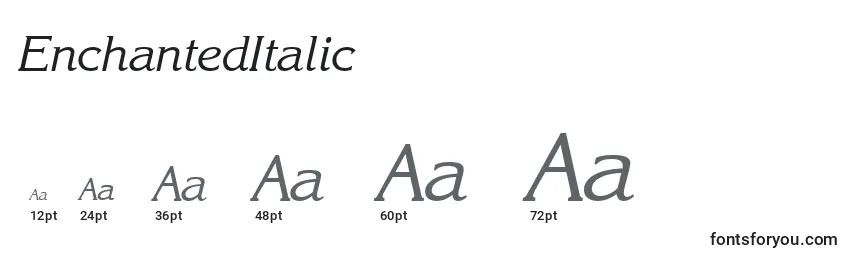 Размеры шрифта EnchantedItalic