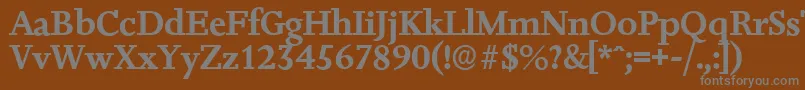 フォントJessicaserialBold – 茶色の背景に灰色の文字