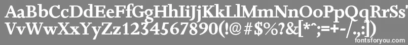 フォントJessicaserialBold – 灰色の背景に白い文字