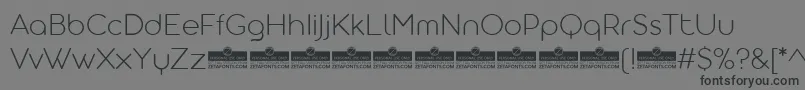 AristotelicaDisplayExtralightTrial Font – Black Fonts on Gray Background
