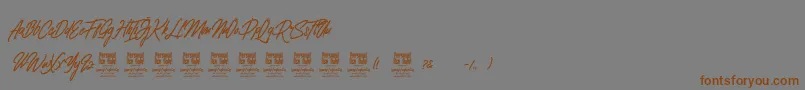 ClovvoPersonalUse Font – Brown Fonts on Gray Background
