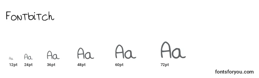 Fontbitch Font Sizes