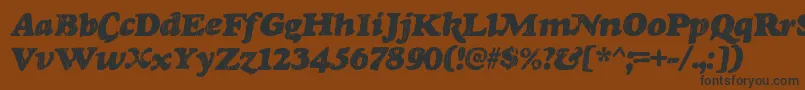 RinseRegular Font – Black Fonts on Brown Background