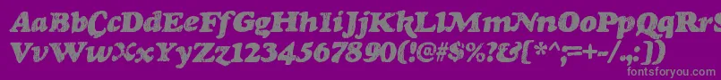 フォントRinseRegular – 紫の背景に灰色の文字