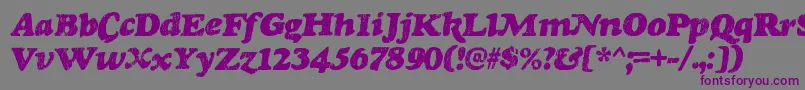 RinseRegular Font – Purple Fonts on Gray Background