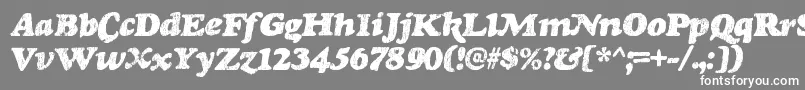 フォントRinseRegular – 灰色の背景に白い文字