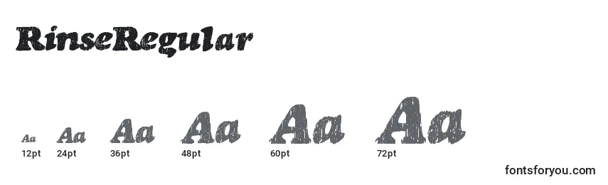RinseRegular Font Sizes