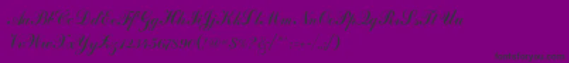 Coventryscriptflf-Schriftart – Schwarze Schriften auf violettem Hintergrund