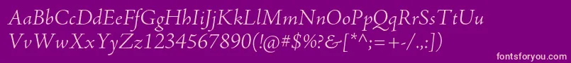 AjensonproLtitsubh Font – Pink Fonts on Purple Background