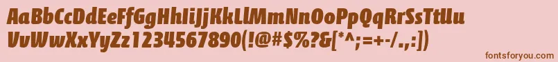 CalciteproBlack Font – Brown Fonts on Pink Background