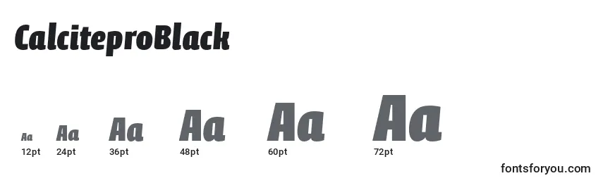 Размеры шрифта CalciteproBlack