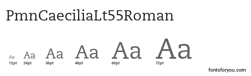 PmnCaeciliaLt55Roman Font Sizes