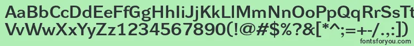 DynagrotesklxeBold Font – Black Fonts on Green Background