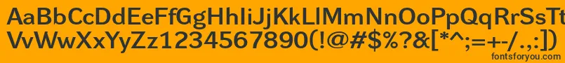 DynagrotesklxeBold Font – Black Fonts on Orange Background