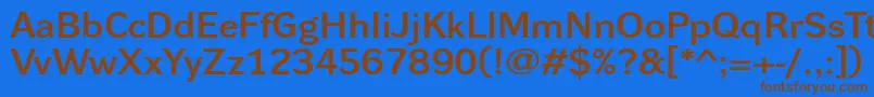 DynagrotesklxeBold Font – Brown Fonts on Blue Background