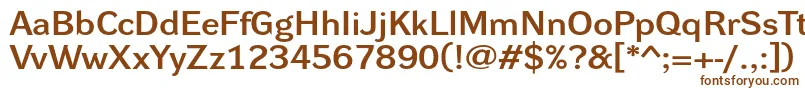 DynagrotesklxeBold Font – Brown Fonts on White Background