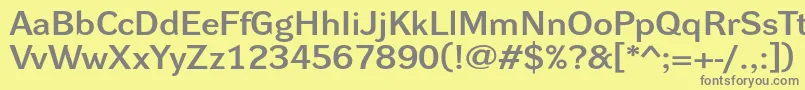 DynagrotesklxeBold Font – Gray Fonts on Yellow Background
