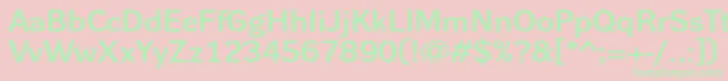 DynagrotesklxeBold Font – Green Fonts on Pink Background