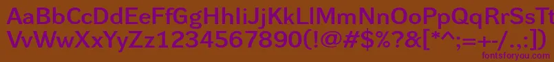 DynagrotesklxeBold Font – Purple Fonts on Brown Background