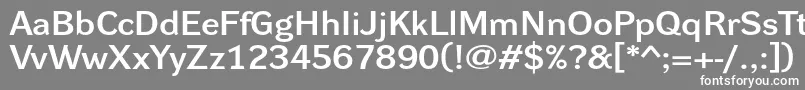 フォントDynagrotesklxeBold – 灰色の背景に白い文字