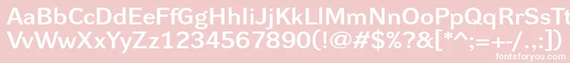 DynagrotesklxeBold Font – White Fonts on Pink Background