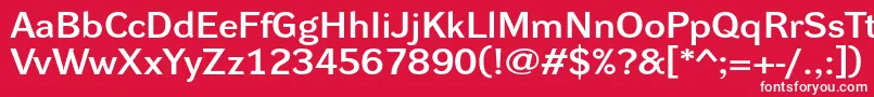 DynagrotesklxeBold Font – White Fonts on Red Background