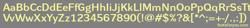 DynagrotesklxeBold Font – Yellow Fonts on Gray Background